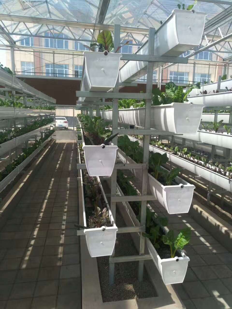 蔬菜国产精品刺激对白麻豆99种植槽